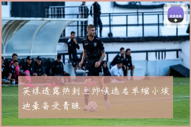 英媒透露热刺主帅候选名单缩小埃迪豪备受青睐