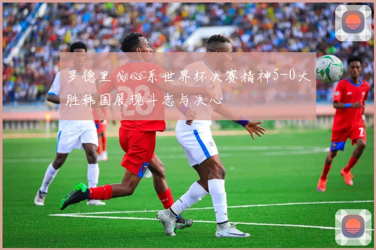 罗德里戈心系世界杯决赛精神5-0大胜韩国展现斗志与决心