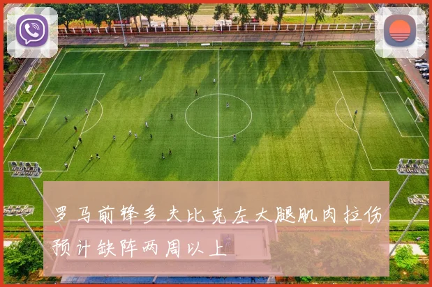 罗马前锋多夫比克左大腿肌肉拉伤预计缺阵两周以上