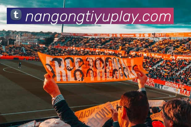 南宫体育平台生态图