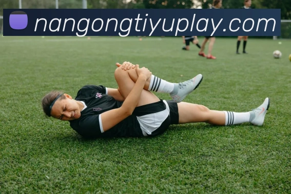 南宫体育全站App